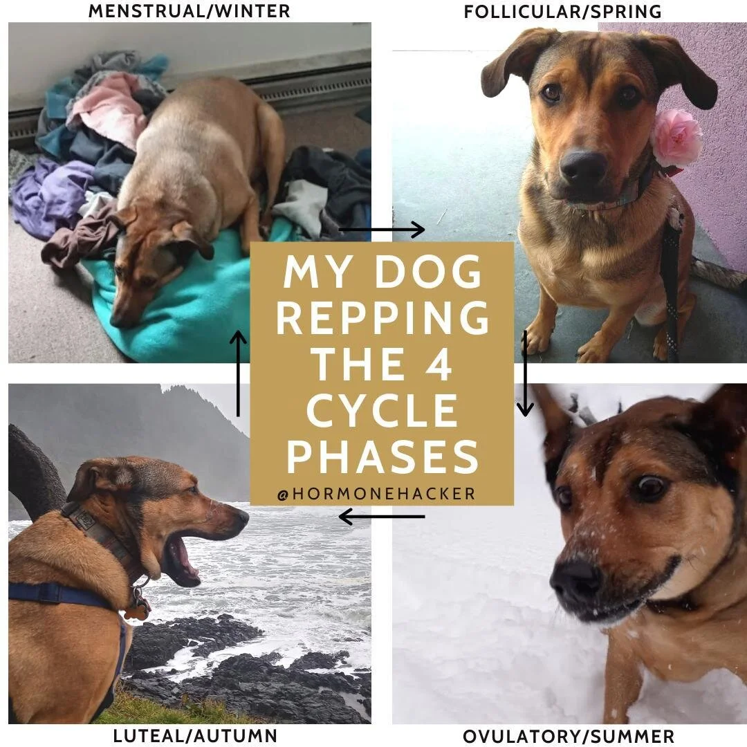 What is a Fertility Doula? — The Hormone Hacker