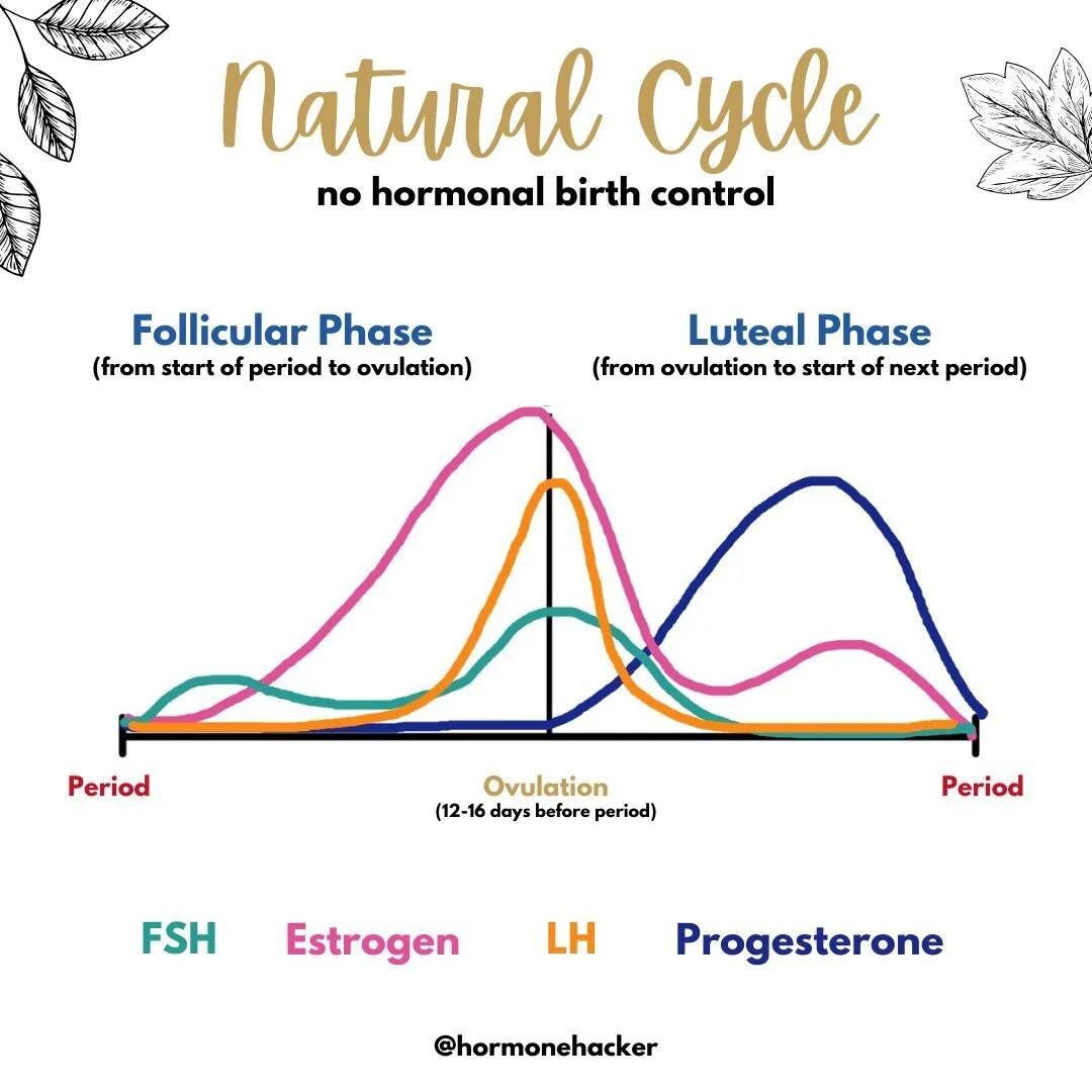 What Is A Fertility Doula The Hormone Hacker what-is-a-fertility-doula-the-hormone-hacker