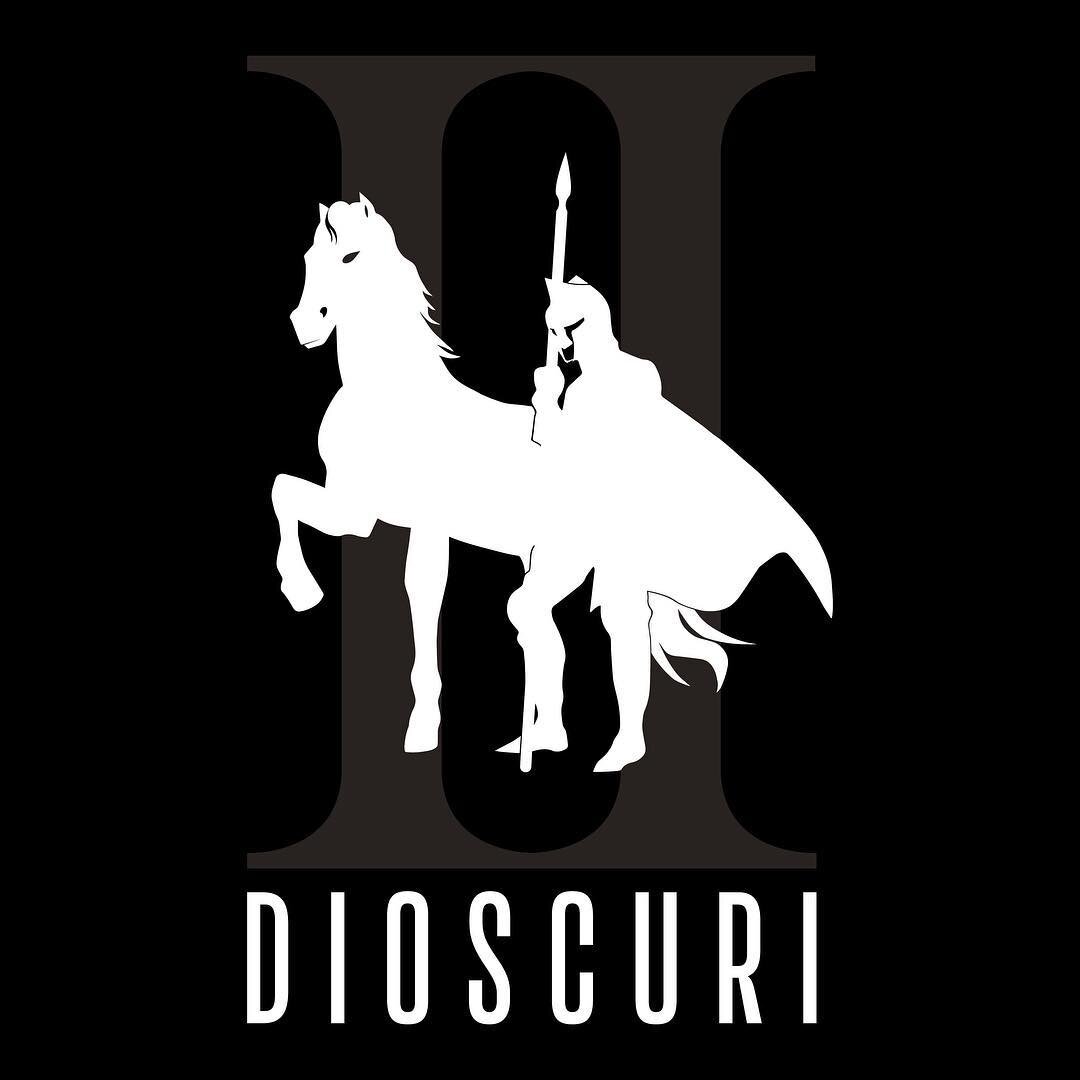 Introducing Dioscuri &bull; The Original Idea