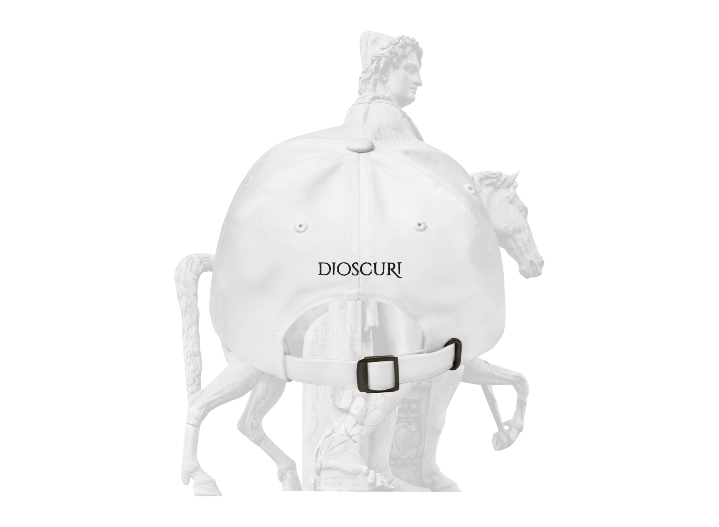 DIOSCURI-HAT-BACK-WHITE.png