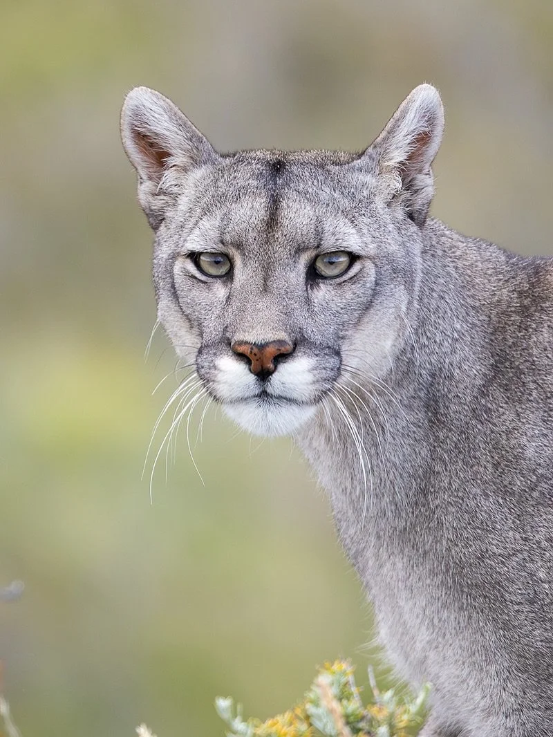 The journey home begins. 
The details are as boring as the length, so I&rsquo;ll just get to the good stuff. 
Actually there&rsquo;s way too much good stuff that has come from the last few weeks so I&rsquo;ll share more later &hellip; probably while 