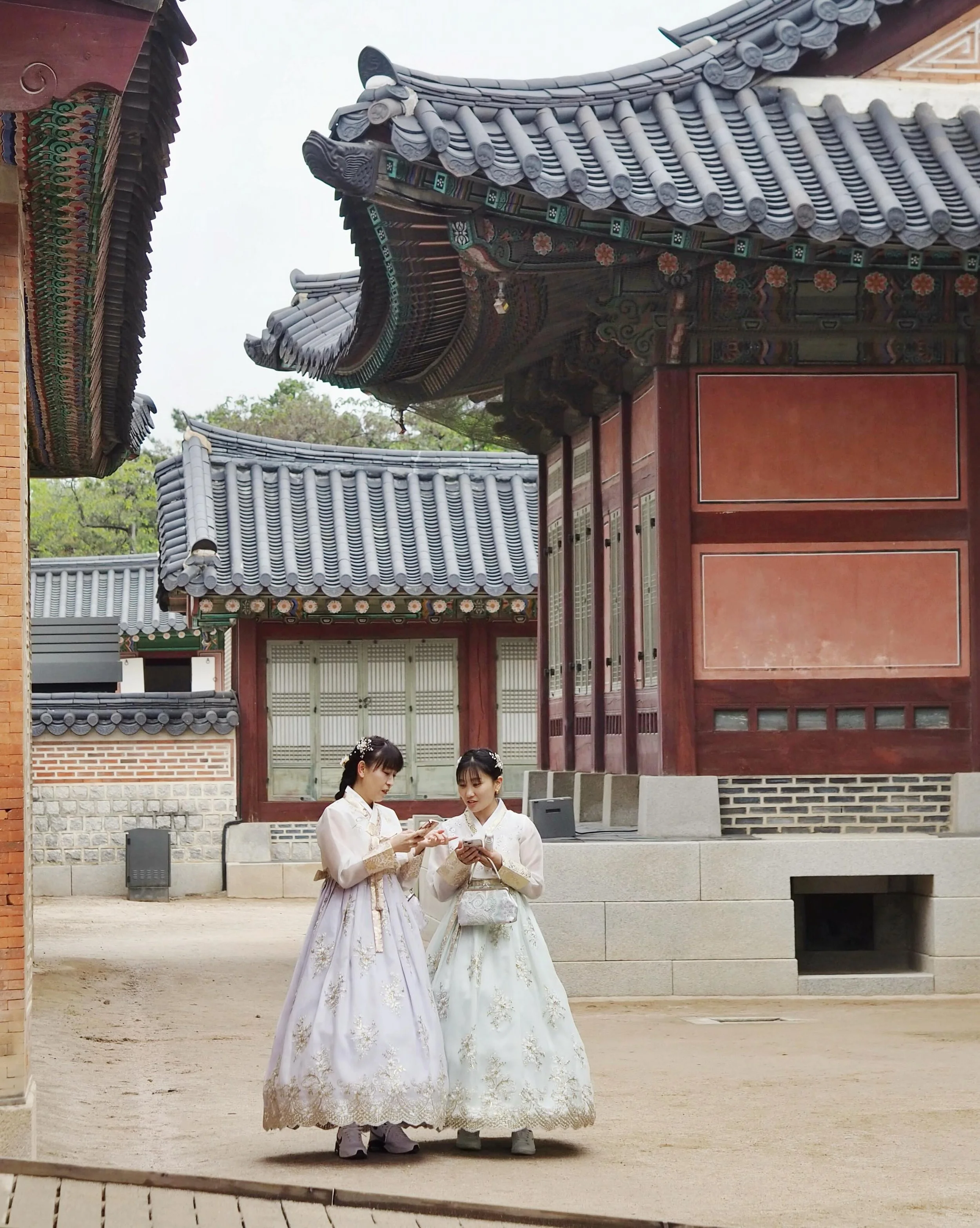 Just returned home from the final leg of this six-week journey, an assignment in South Korea with @gadventures National Geographic Signature journey. Beyond the neon skylines and K-culture most of us associate with Korea, this trip was designed to ex