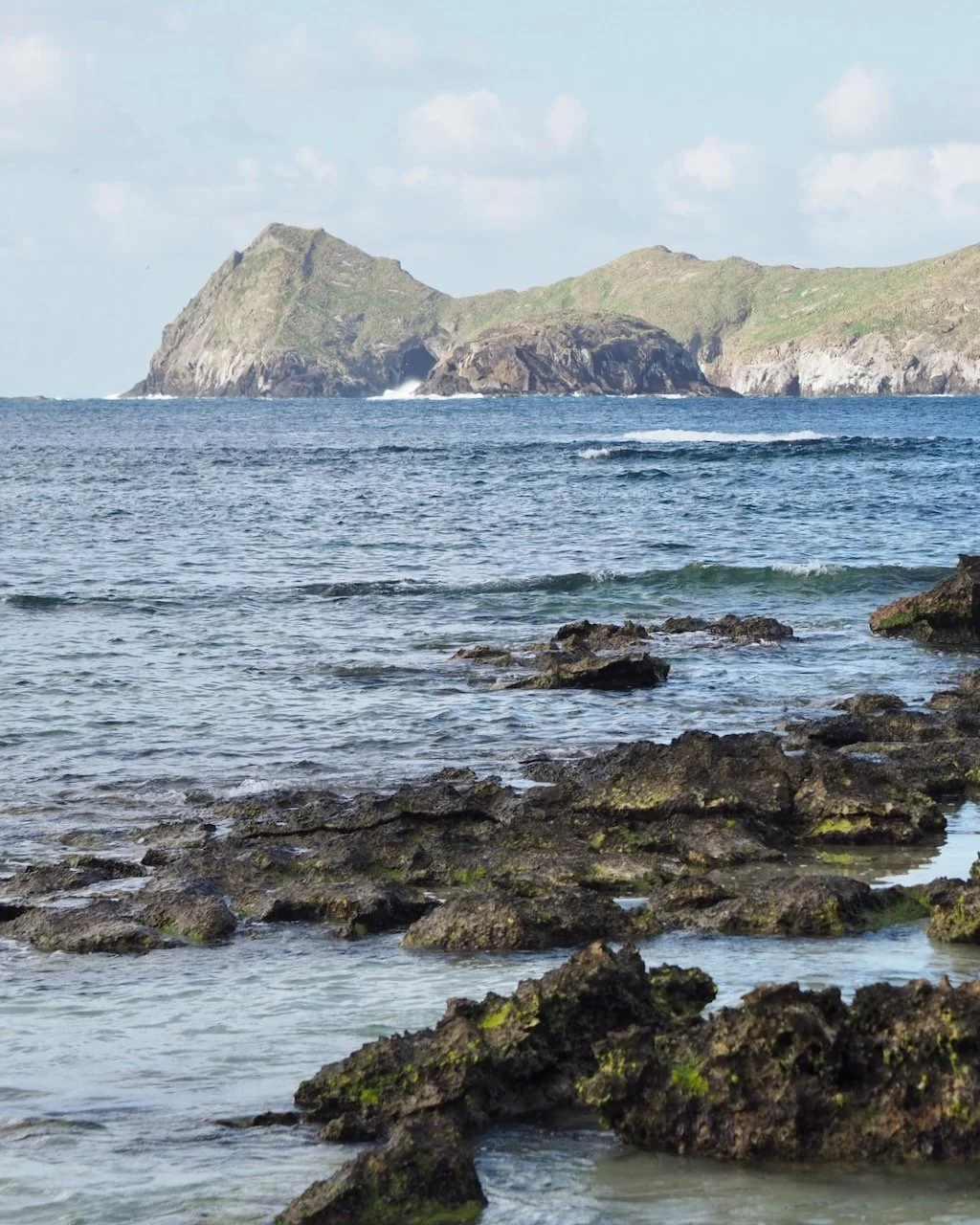 LORD HOWE ISLAND: SMH traveller