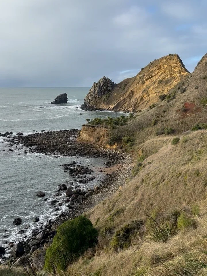 For Matariki, the Māori New Year, I travelled to Ōtepoti Dunedin, where ancient stories live on in the landscape and native birds are returning to regenerating forests. A place that made me think differently about what it means to begin again. My lat