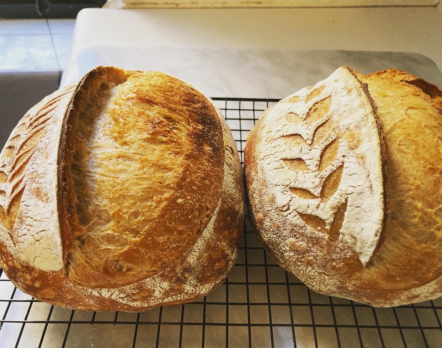 Sourdough Country