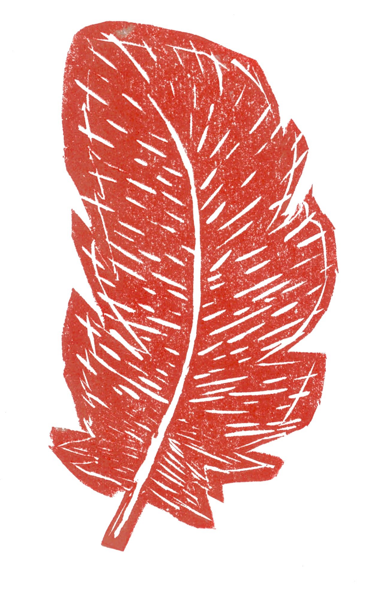 feathers 2.jpg