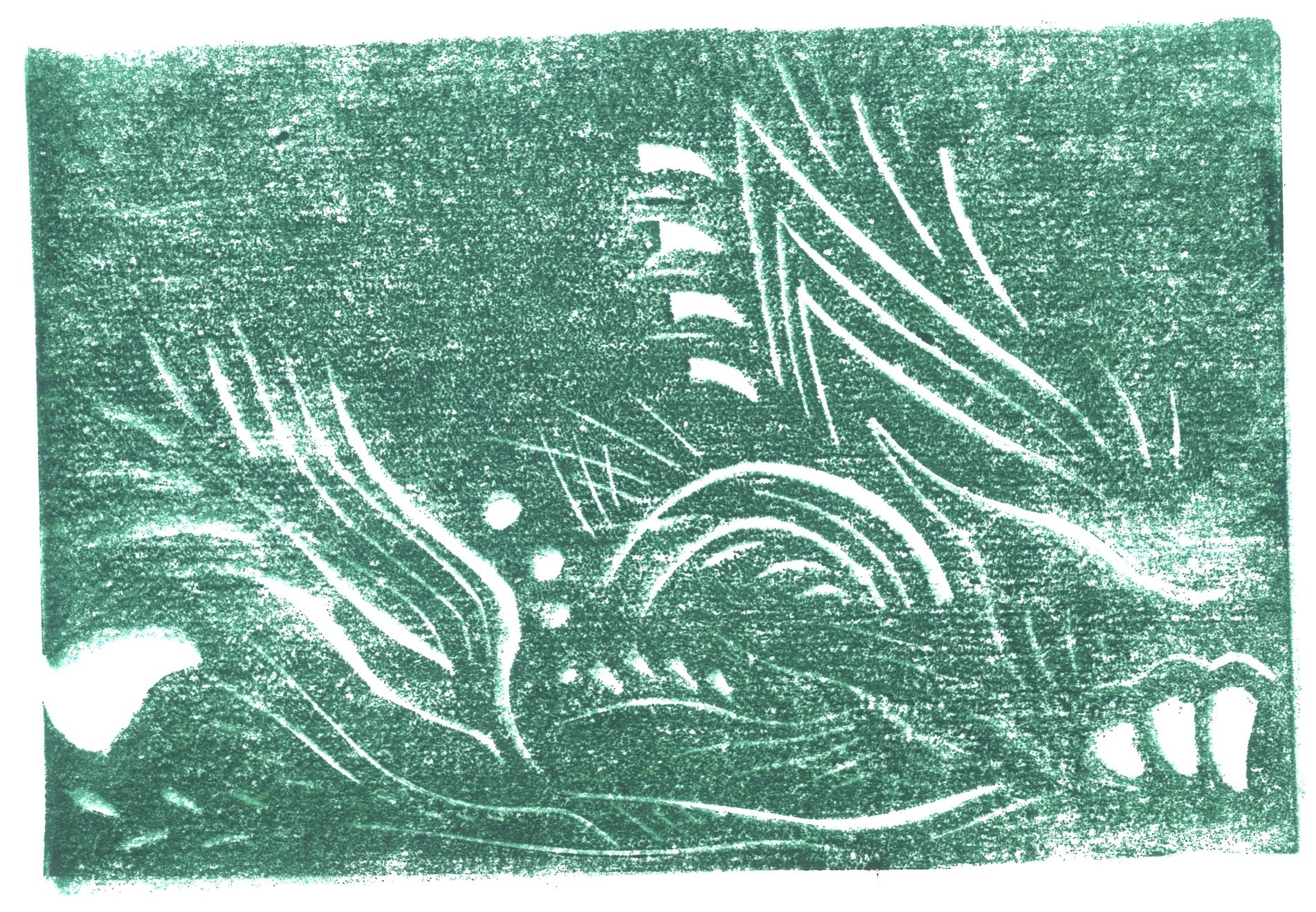 texture 1 copy.jpg