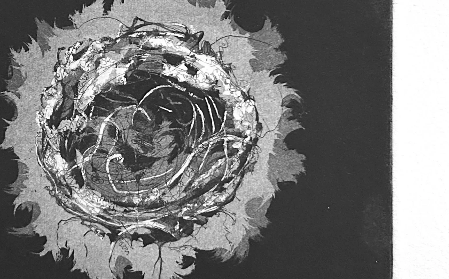 Chaffinch nest study (etch aquatint)