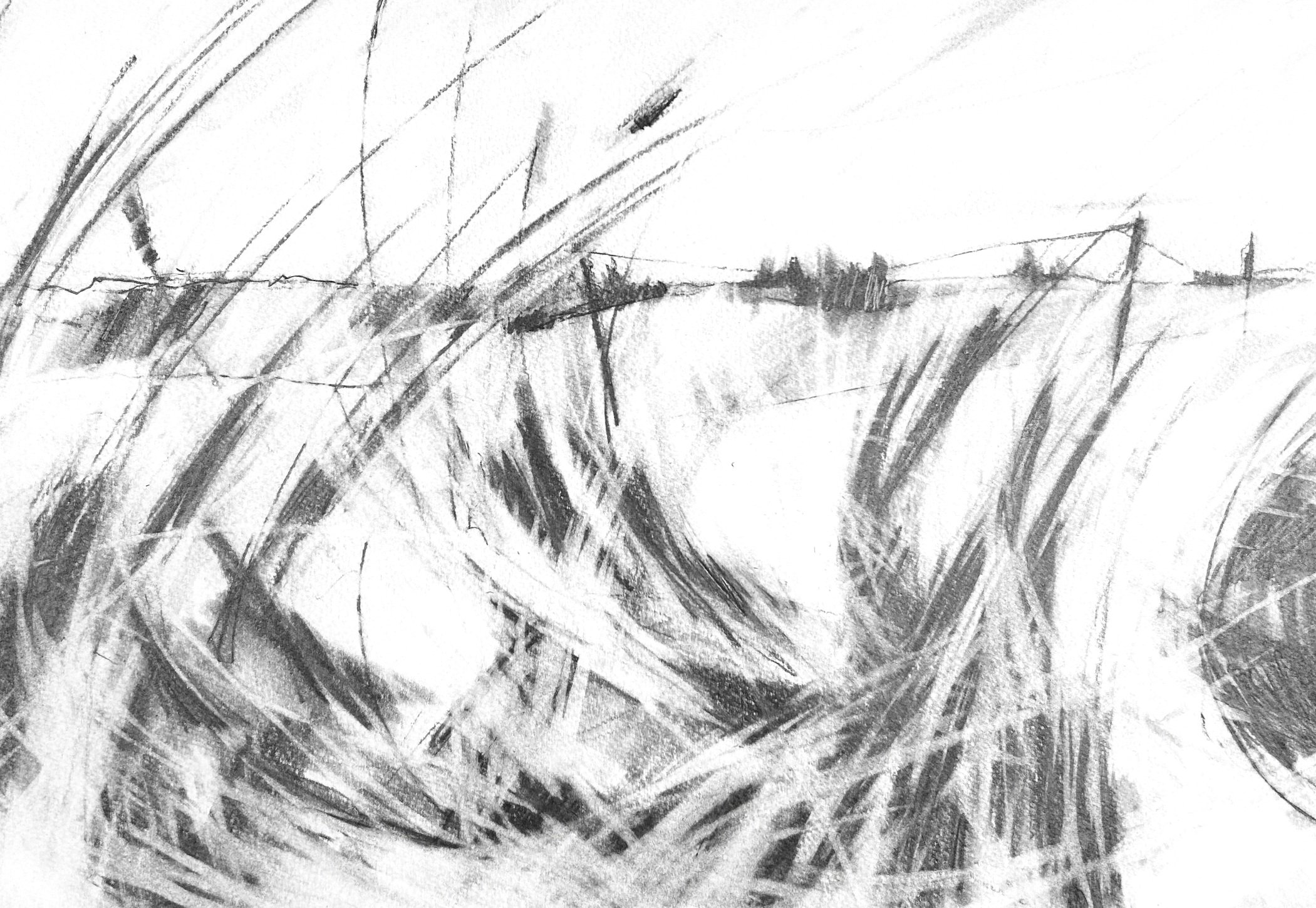 Colne Point study (graphite)