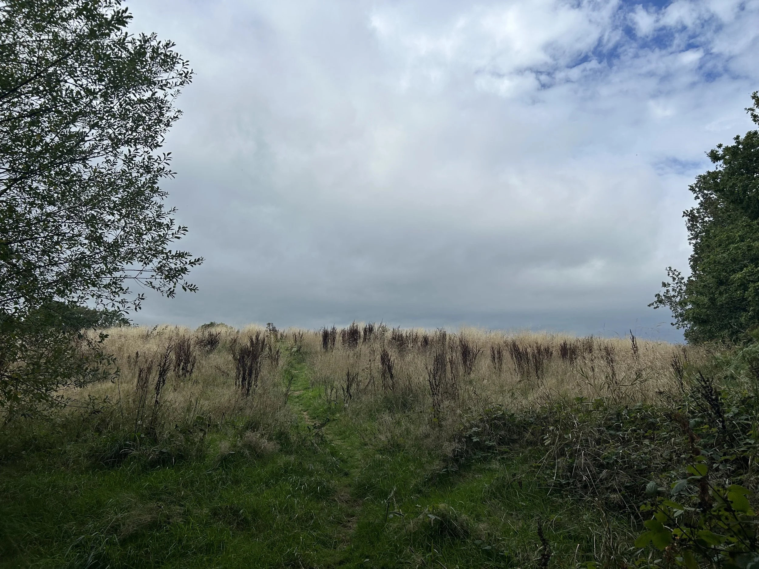 IMG_0614.jpeg