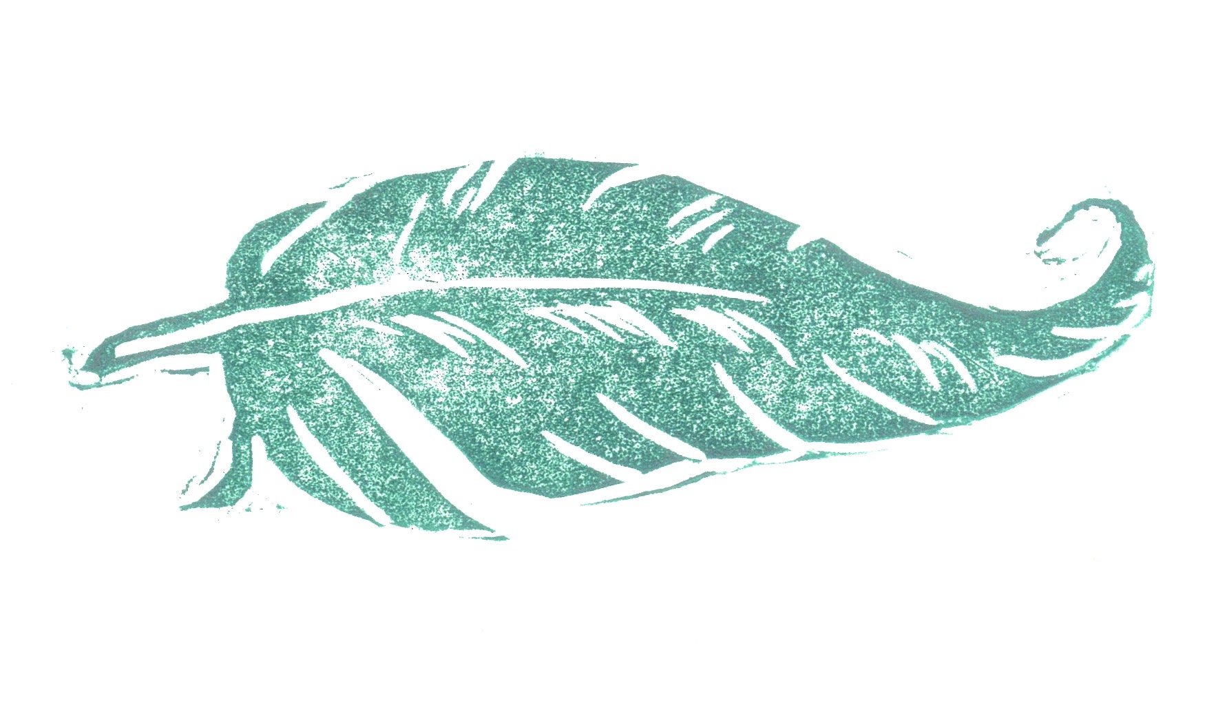 feathers 11 copy 3.jpg