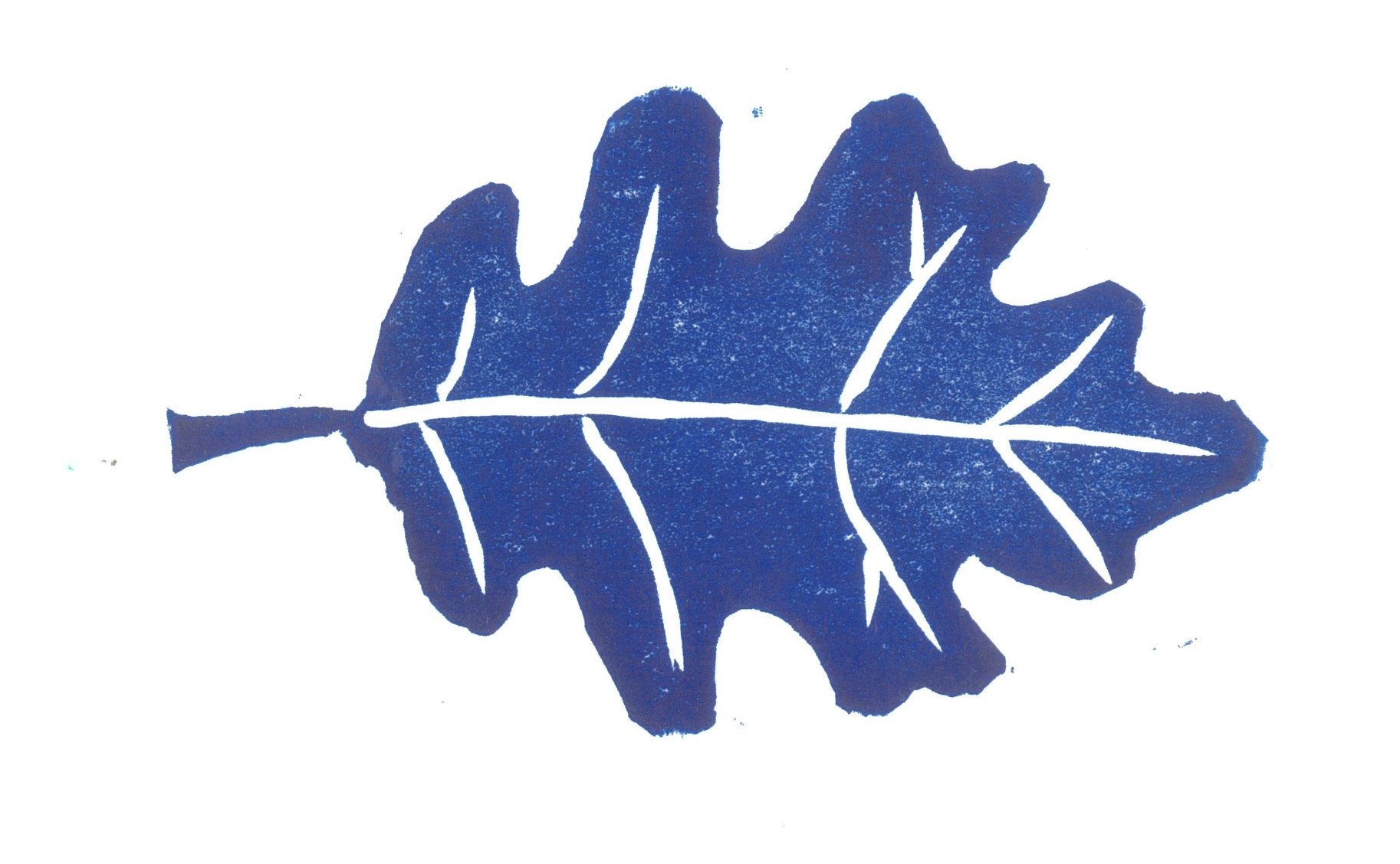 feathers to add YAK copy 3.jpg
