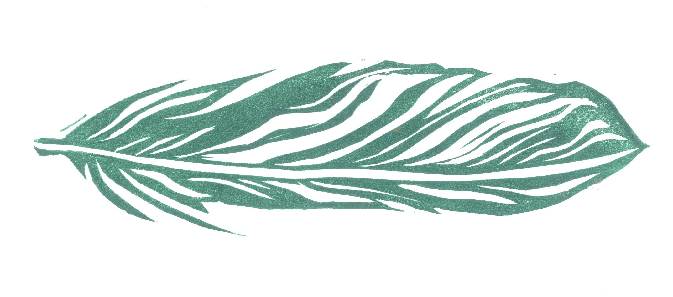 feathers 11.jpg