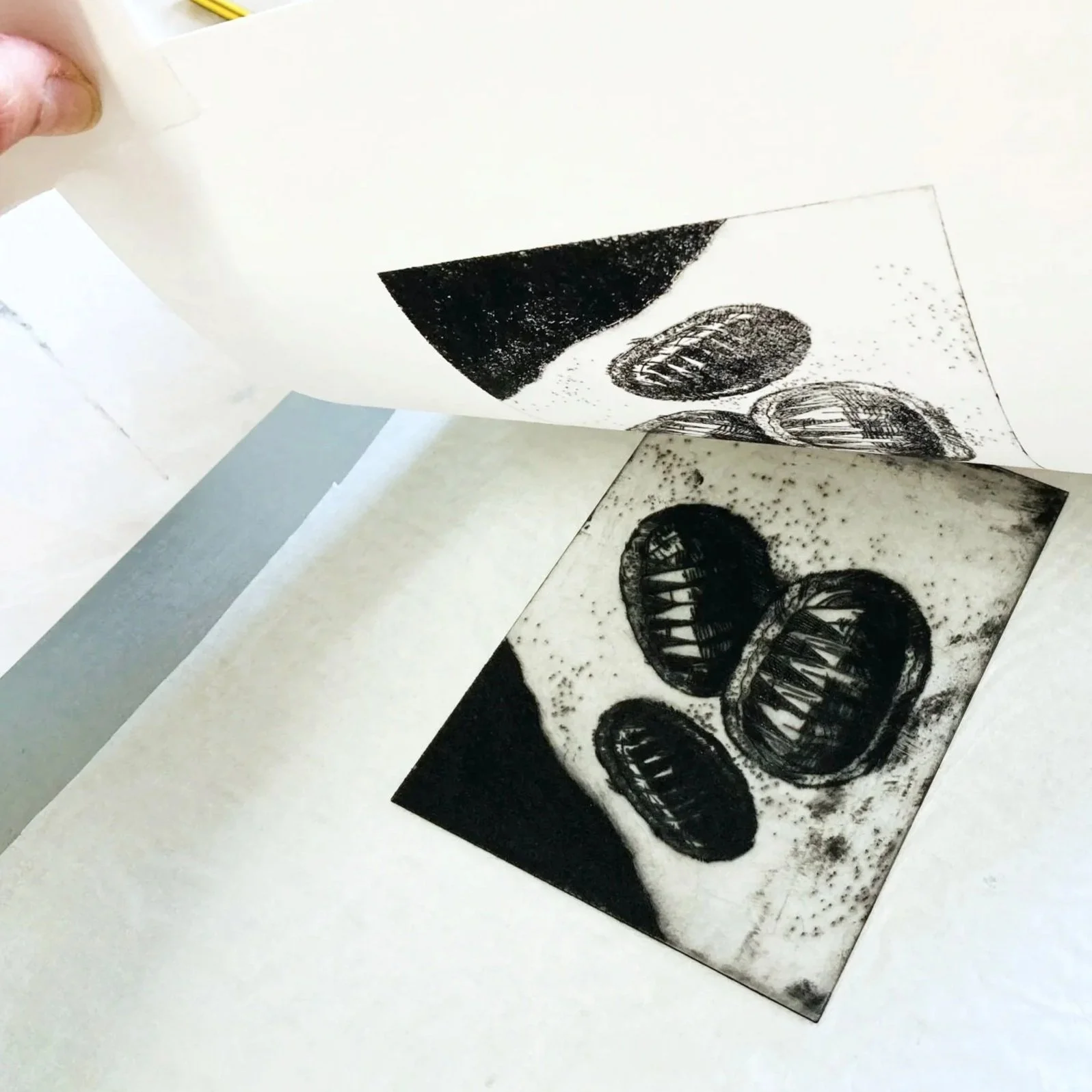 Introduction to Drypoint (Intaglio) Printmaking (rock pool & tidal habitats inspired) | 5th April | 10am - 3:30pm