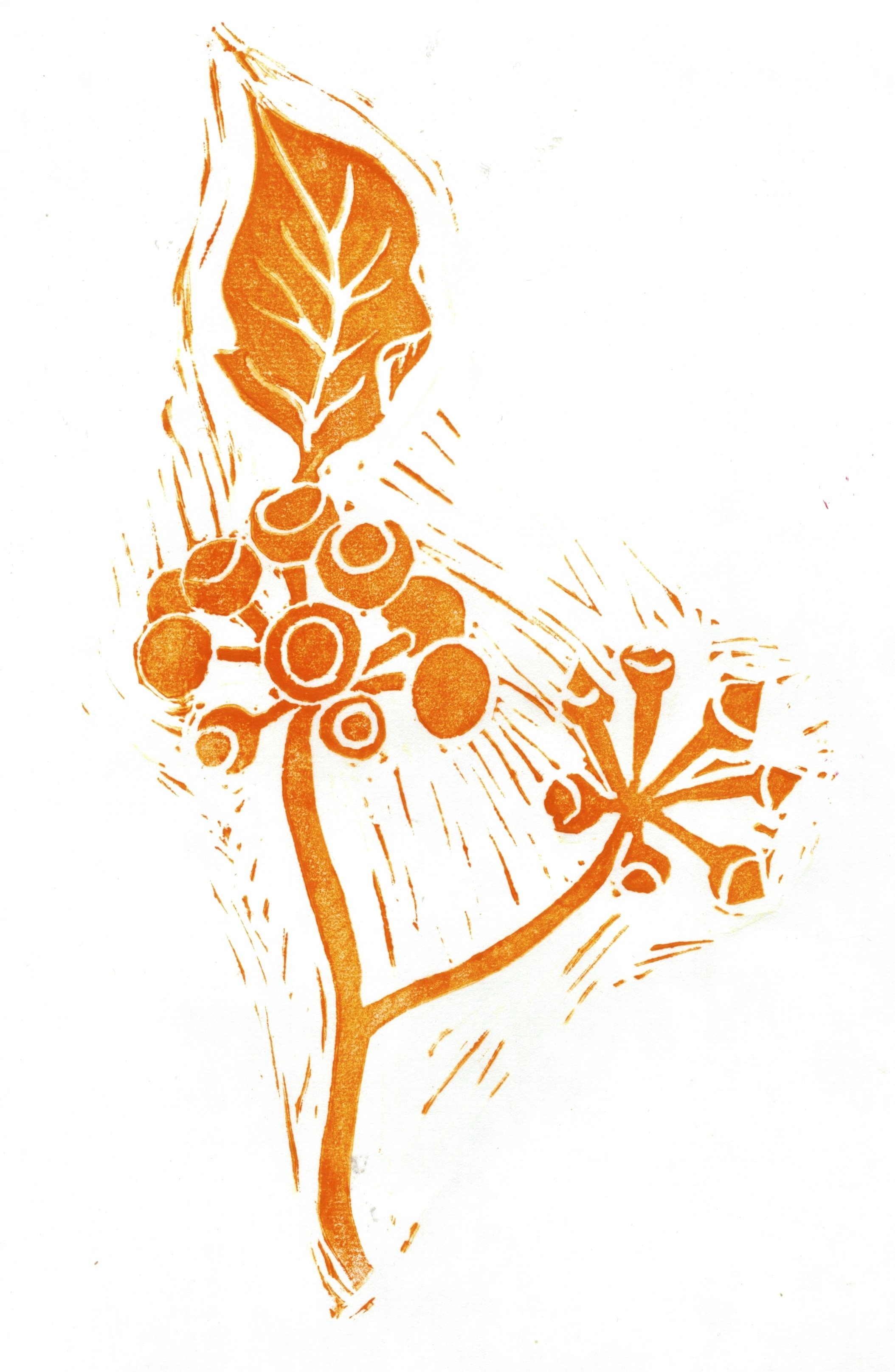 beths print orange.jpg