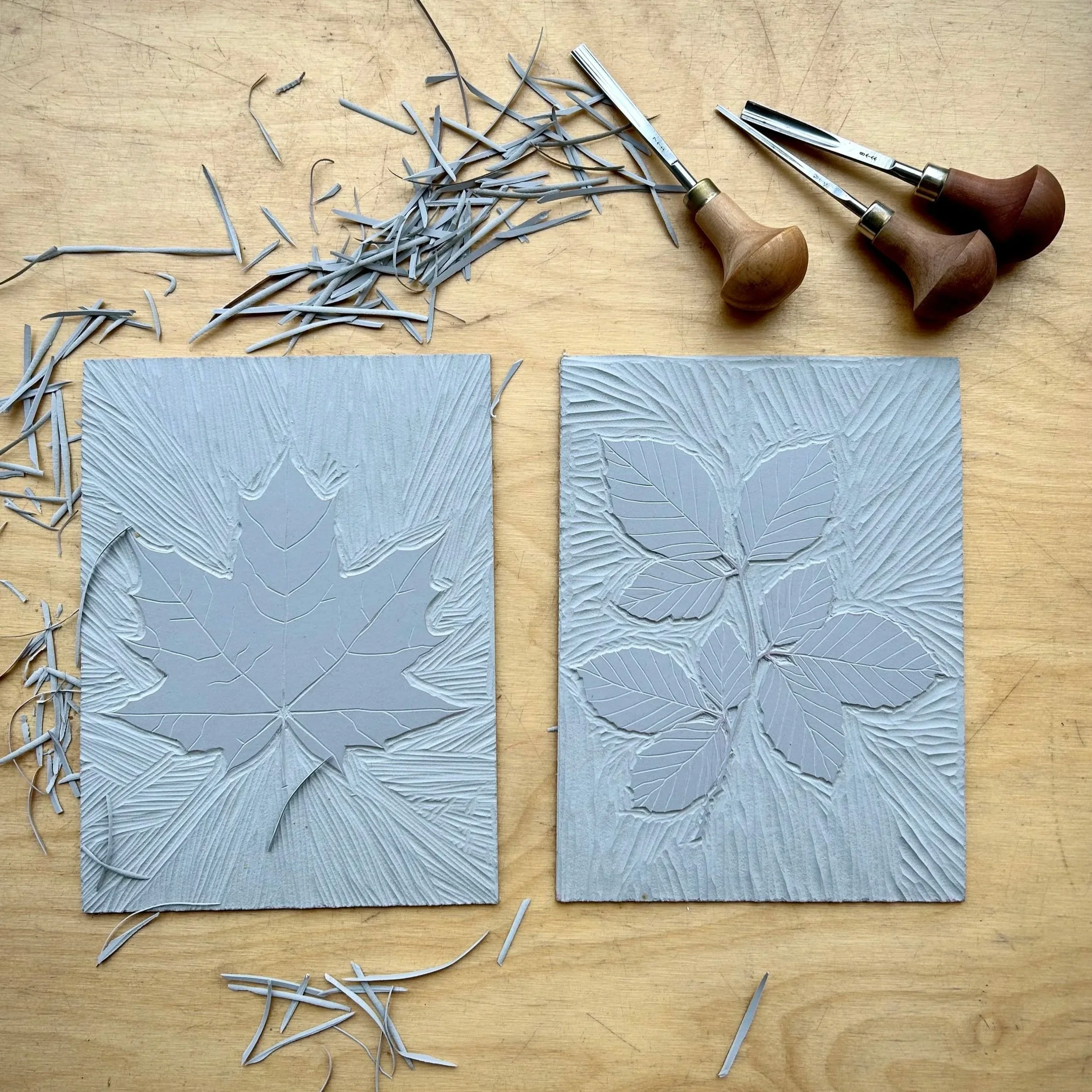 Introduction to Relief (Lino) Printmaking (botanical inspired) | 7th March  | 10am - 3:30pm