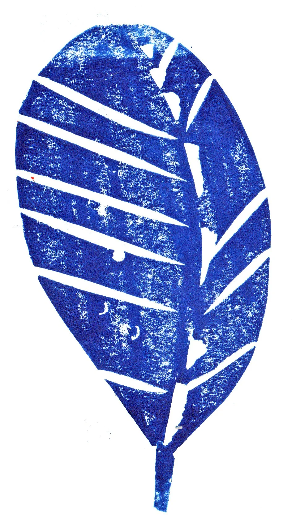 Feather 3 blue.jpg