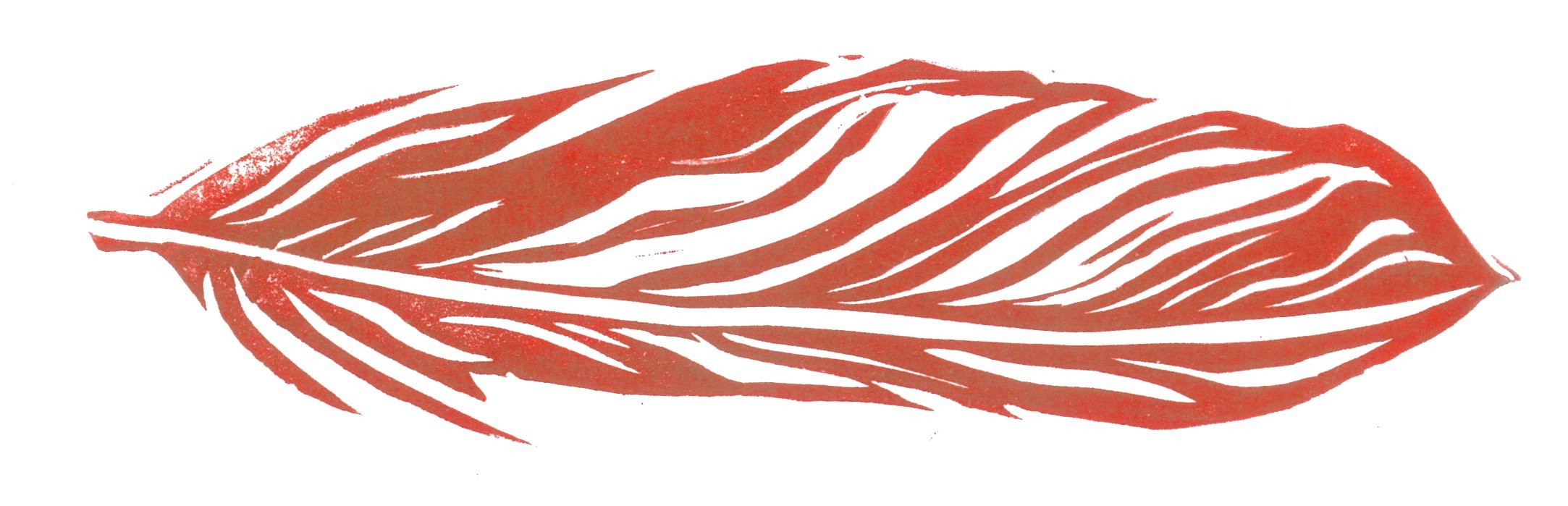 feathers 13 copy.jpg