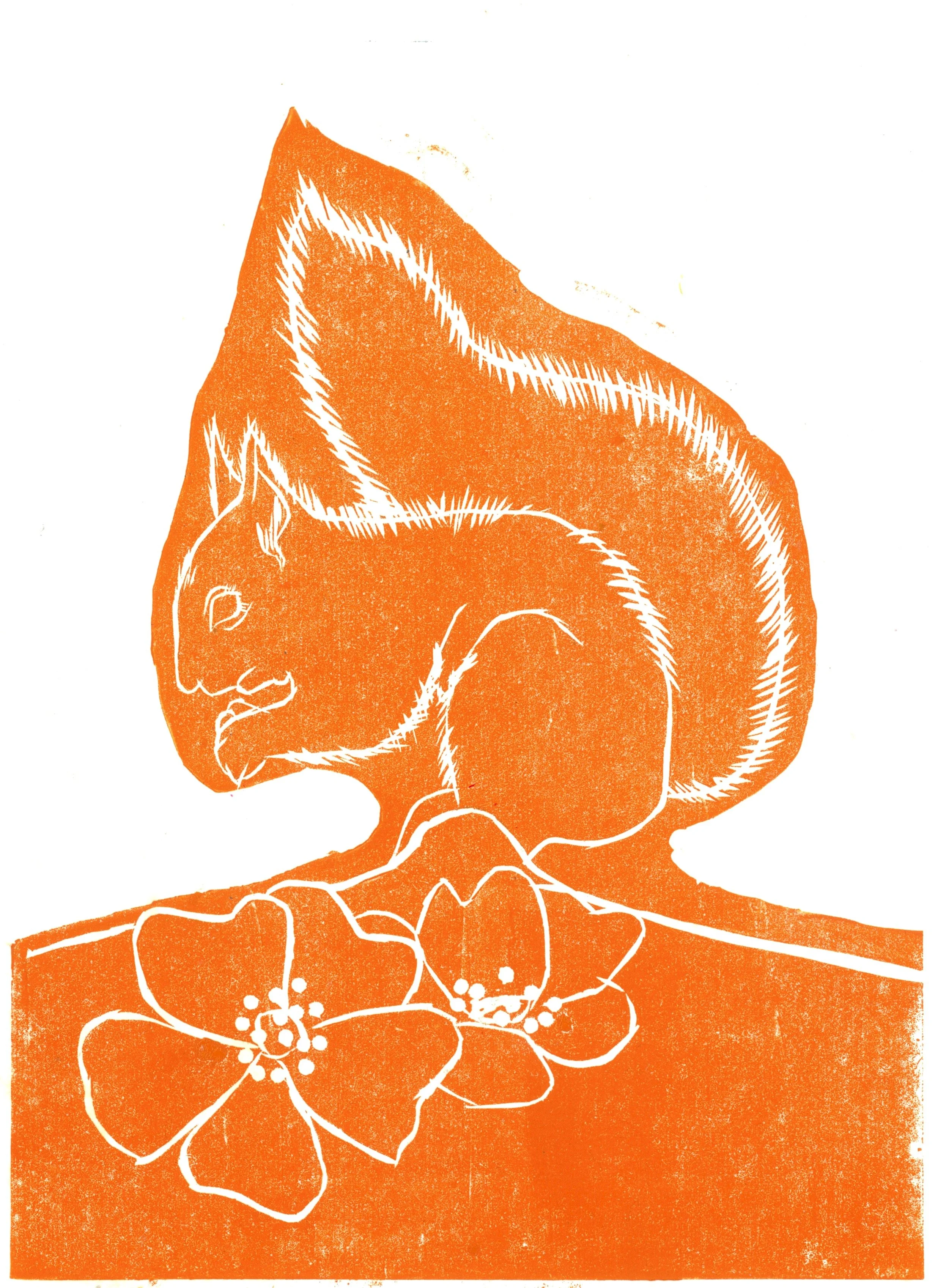 squirrel orange and something.jpg