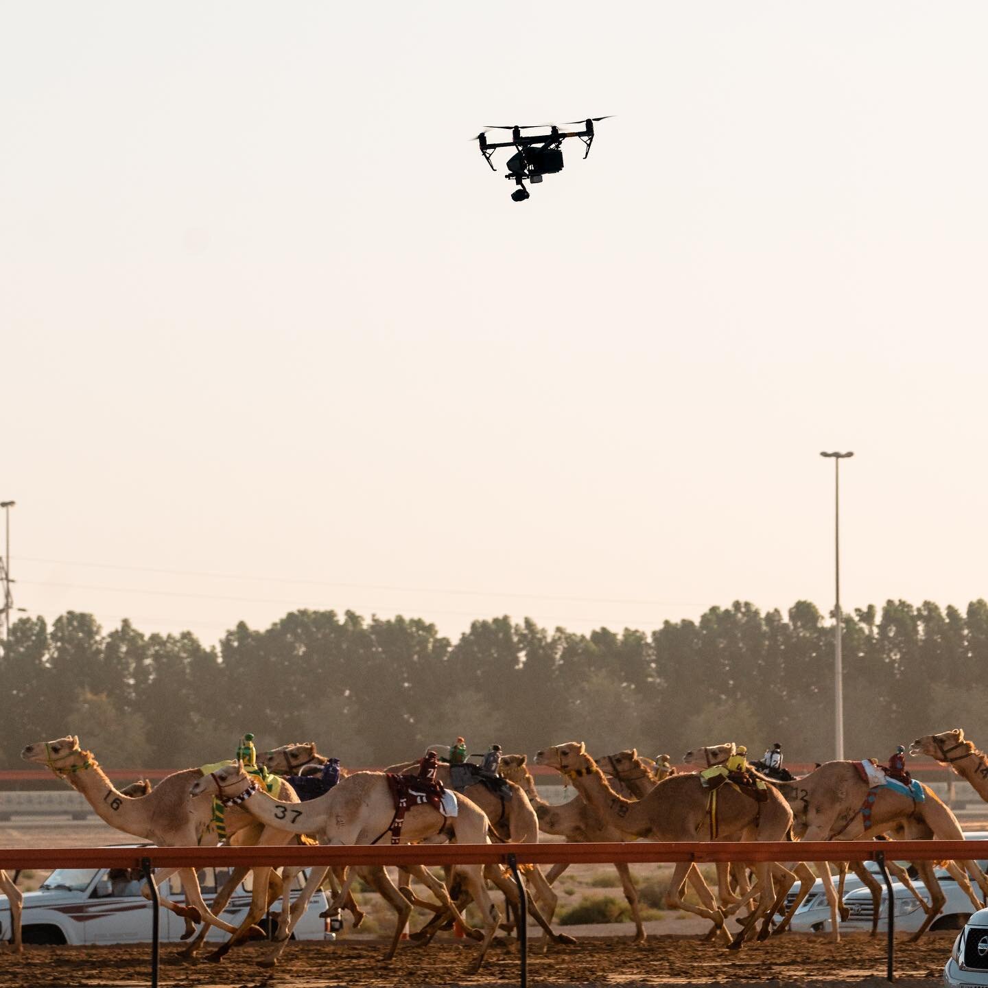 12 Days of camel race live steam coming to wrap soon. Everyday sunrise to sunset. We are going to miss this weather.

#drone #uae #tourism #live #broadcast #aerial #film