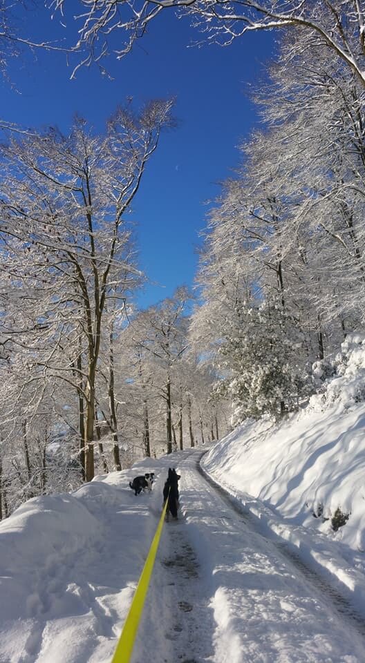 Stepping out of my back door.
Copyright © Tara Squibb 2022.
