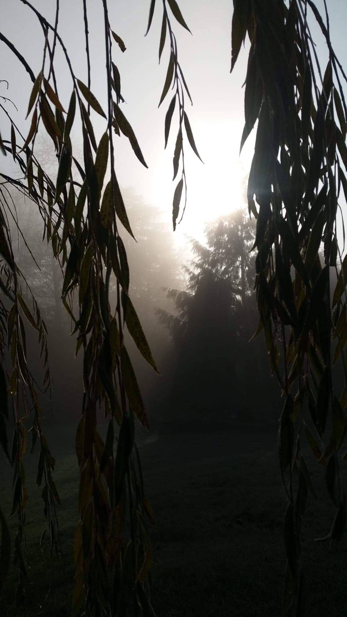 Stepping out of my back door.
Copyright © Tara Squibb 2022.
