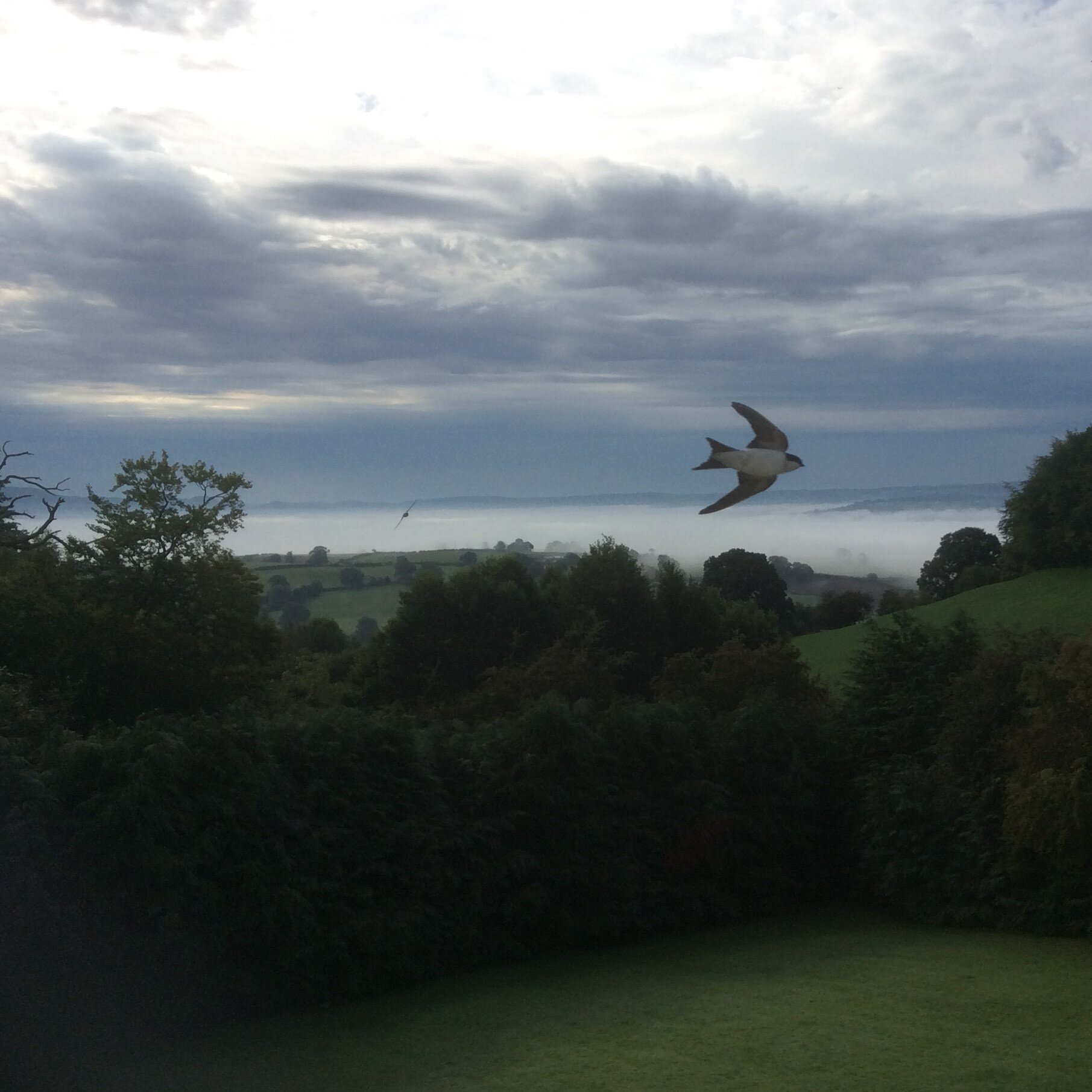 Stepping out of my back door.
Copyright © Tara Squibb 2022.