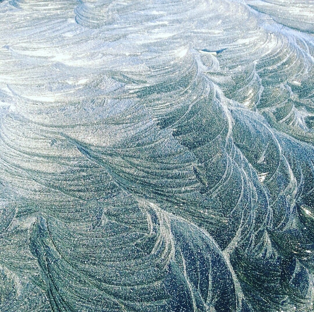 Stepping out of my back door.
Copyright © Tara Squibb 2022.