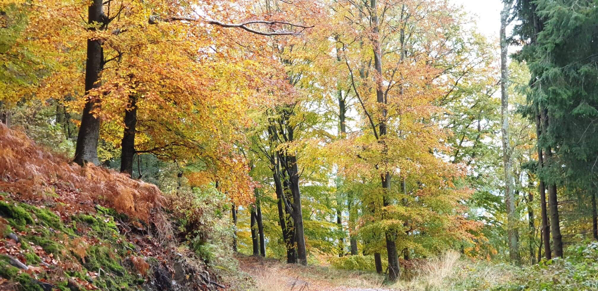 Stepping out of my back door.
Copyright © Tara Squibb 2022.