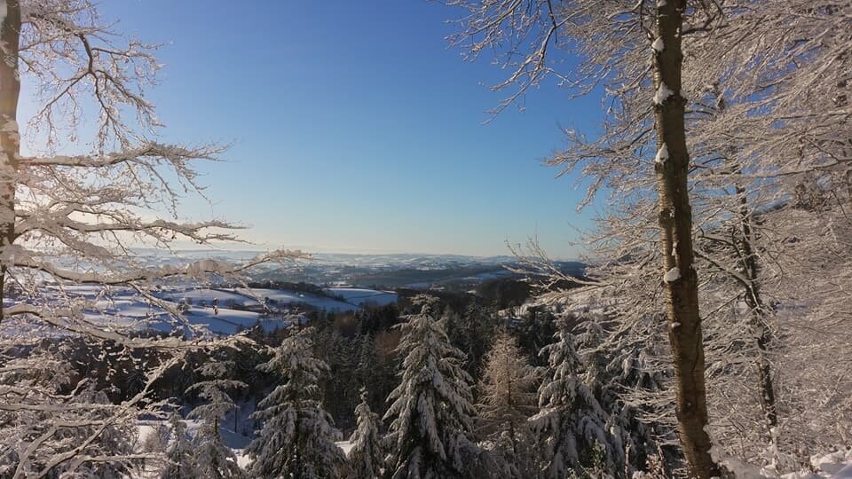 Stepping out of my back door.
Copyright © Tara Squibb 2022.