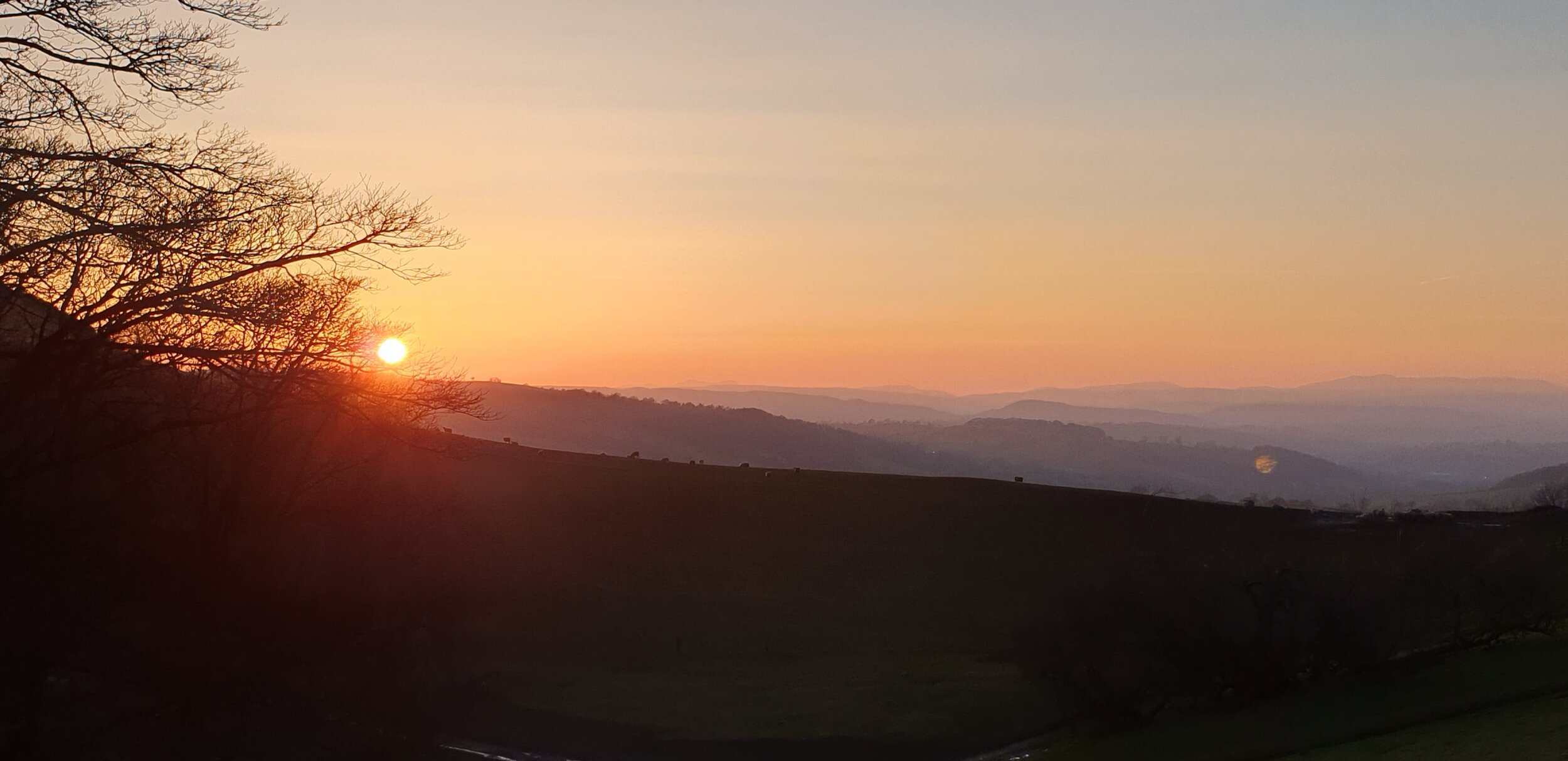 Stepping out of my back door.
Copyright © Tara Squibb 2022.