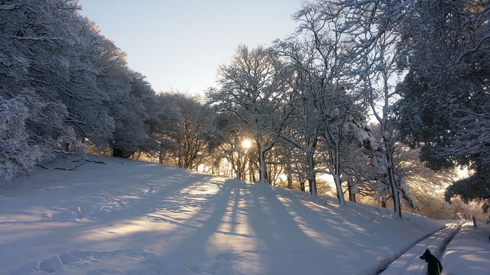 Stepping out of my back door.
Copyright © Tara Squibb 2022.