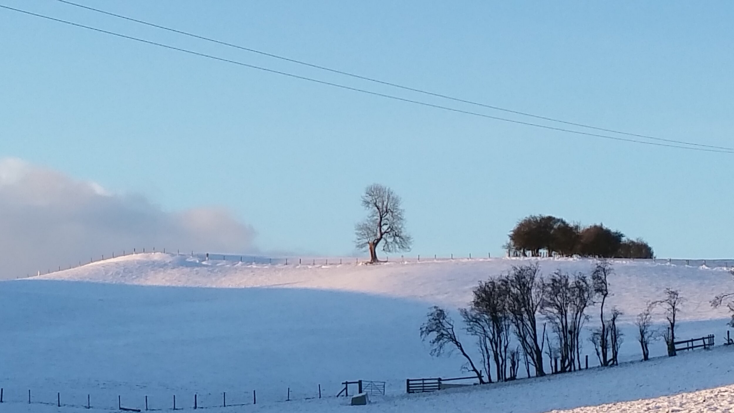 Stepping out of my back door.
Copyright © Tara Squibb 2022.