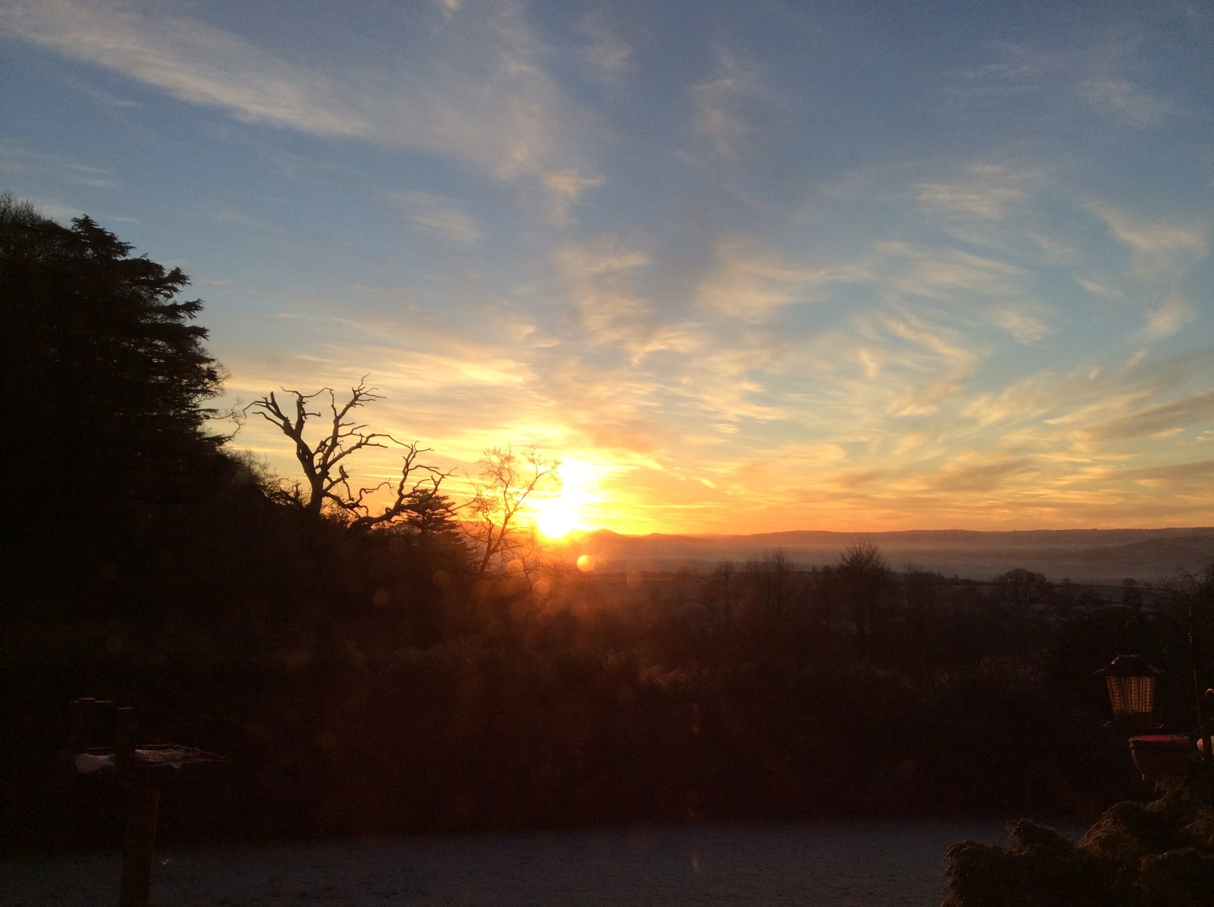 Stepping out of my back door.
Copyright © Tara Squibb 2022.