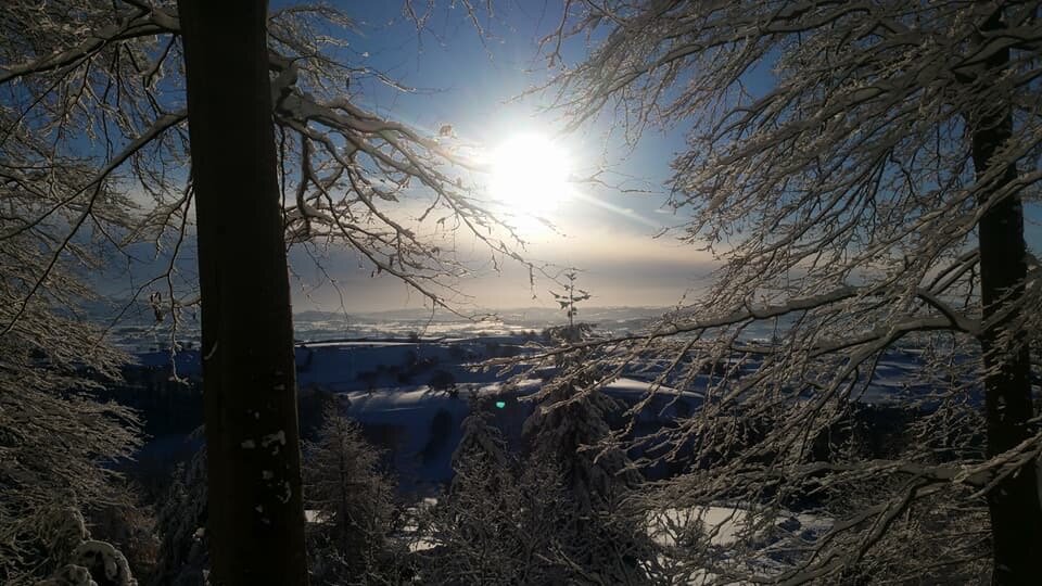Stepping out of my back door.
Copyright © Tara Squibb 2022.