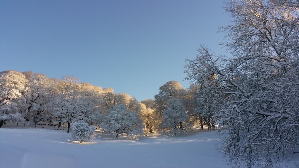 Stepping out of my back door.
Copyright © Tara Squibb 2022.