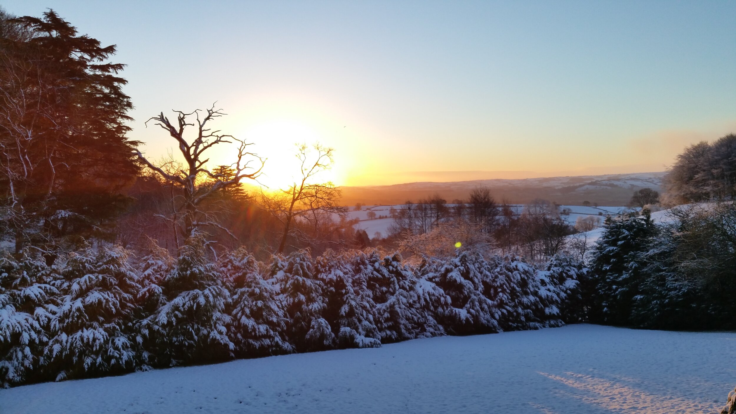 Stepping out of my back door.
Copyright © Tara Squibb 2022.