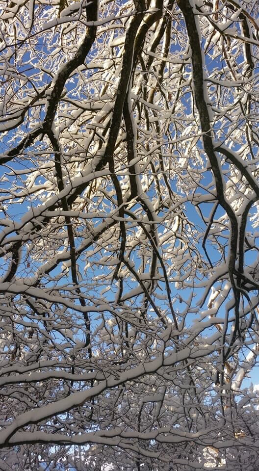 Stepping out of my back door.
Copyright © Tara Squibb 2022.