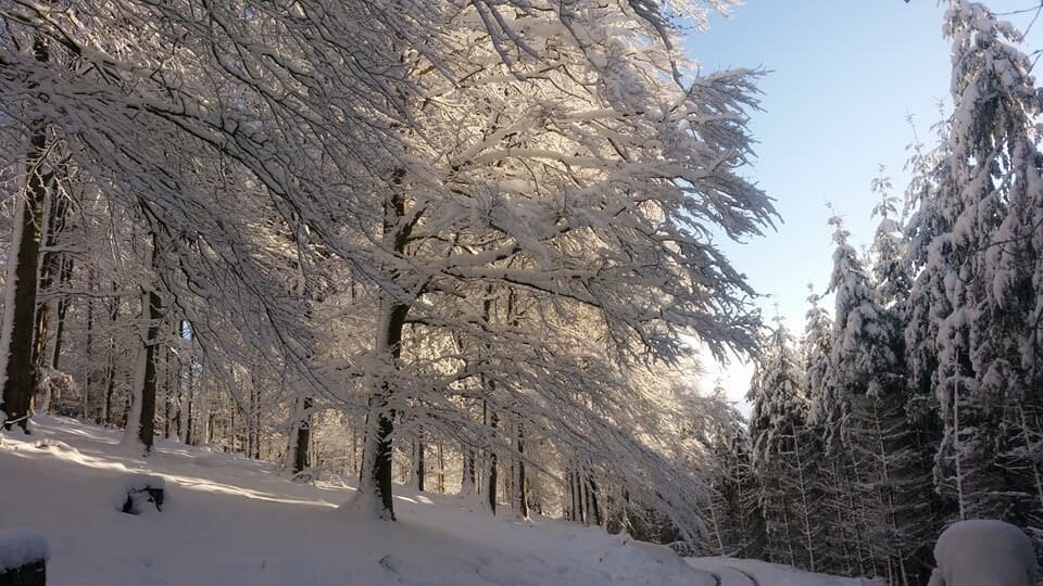 Stepping out of my back door.
Copyright © Tara Squibb 2022.