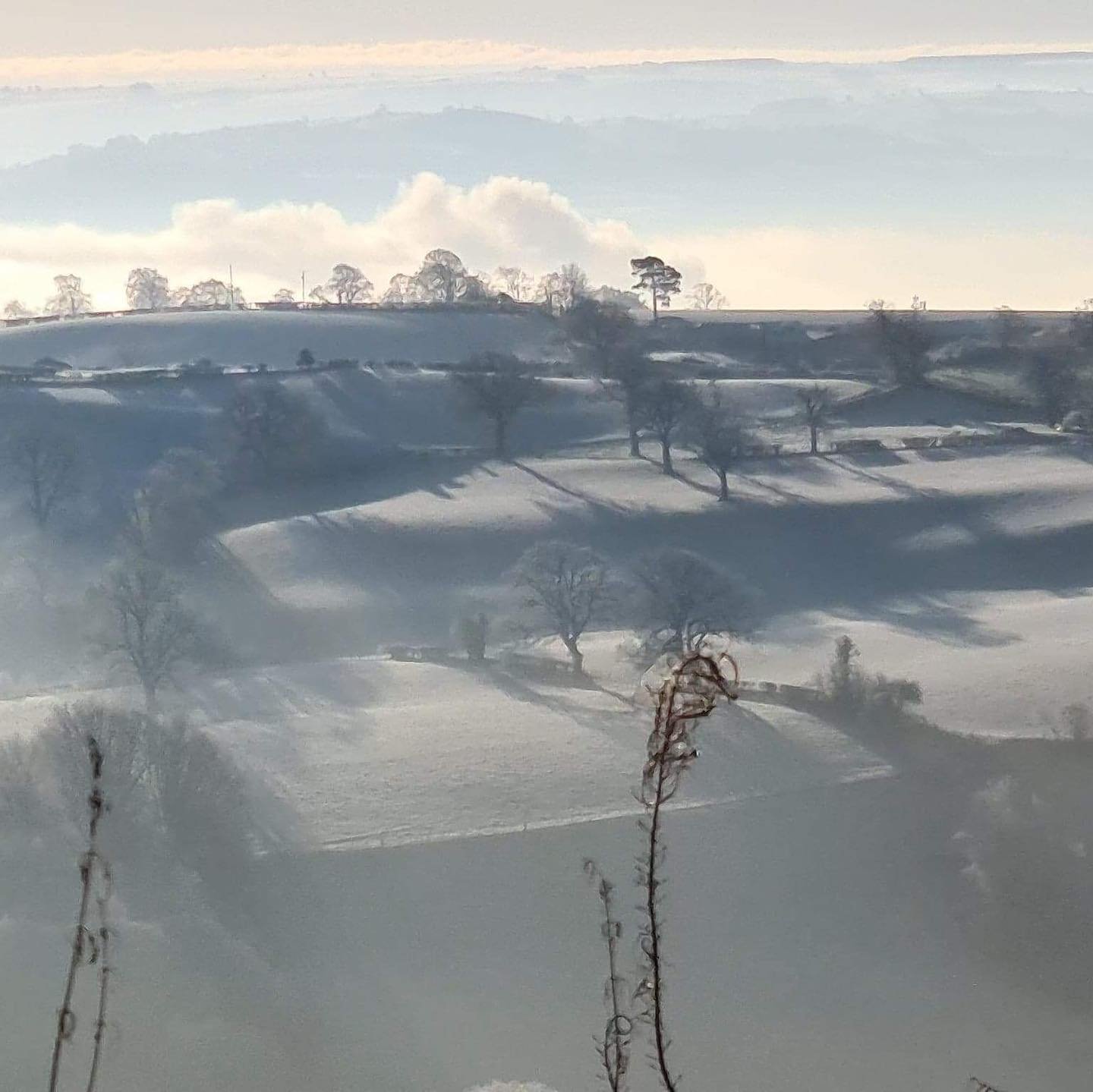 Stepping out of my back door.
Copyright © Tara Squibb 2022.