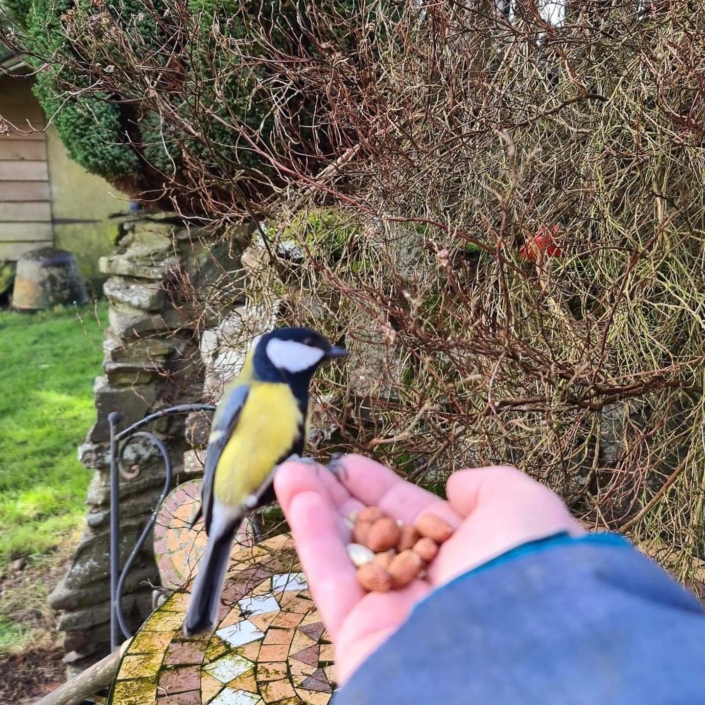 Stepping out of my back door.
Copyright © Tara Squibb 2022.