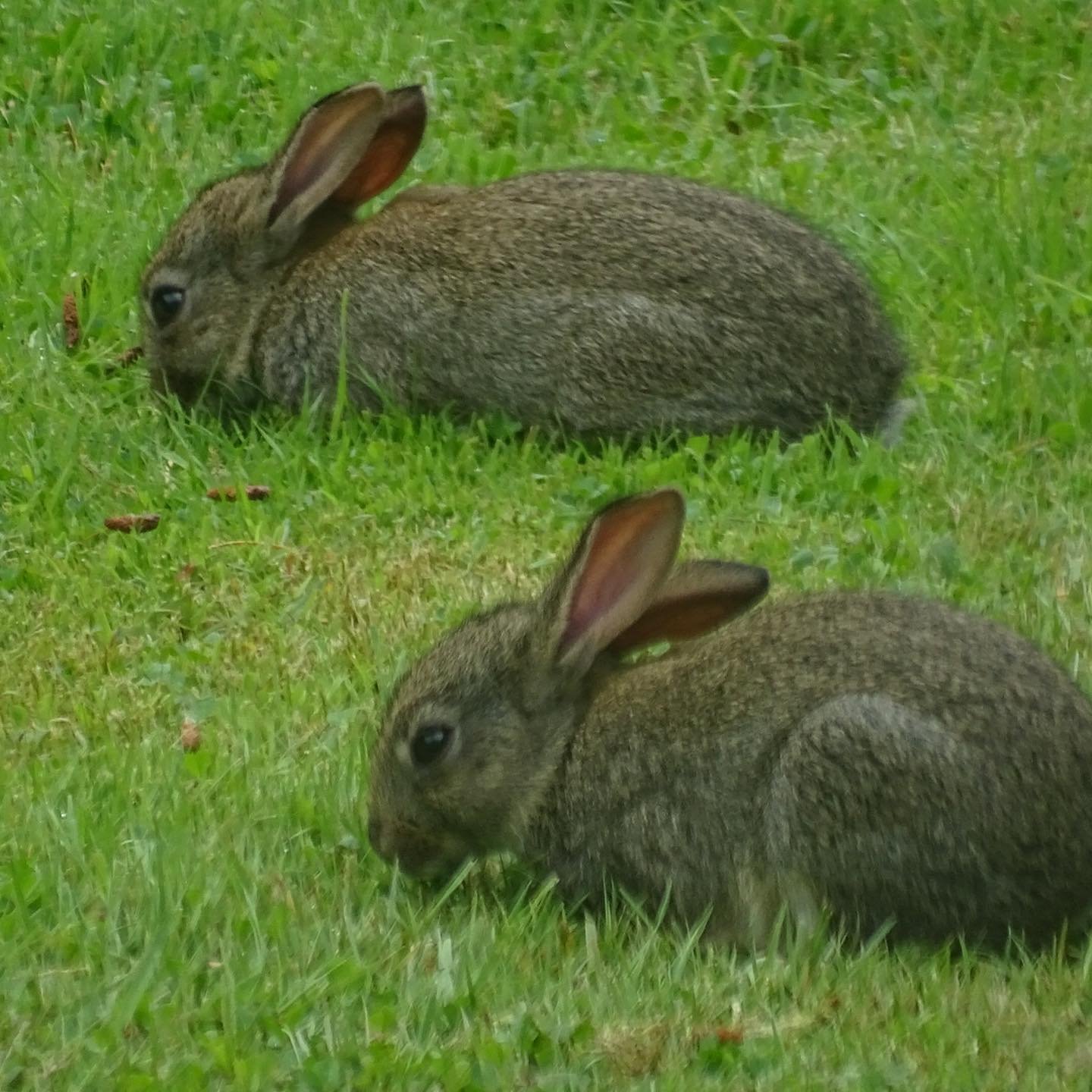 Stepping out of my back door.
Copyright © Tara Squibb 2022.