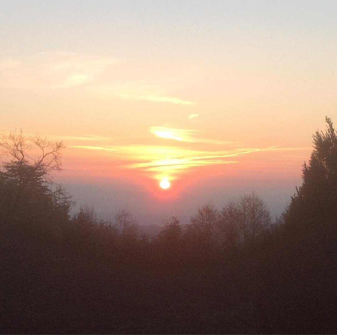 Stepping out of my back door.
Copyright © Tara Squibb 2022.