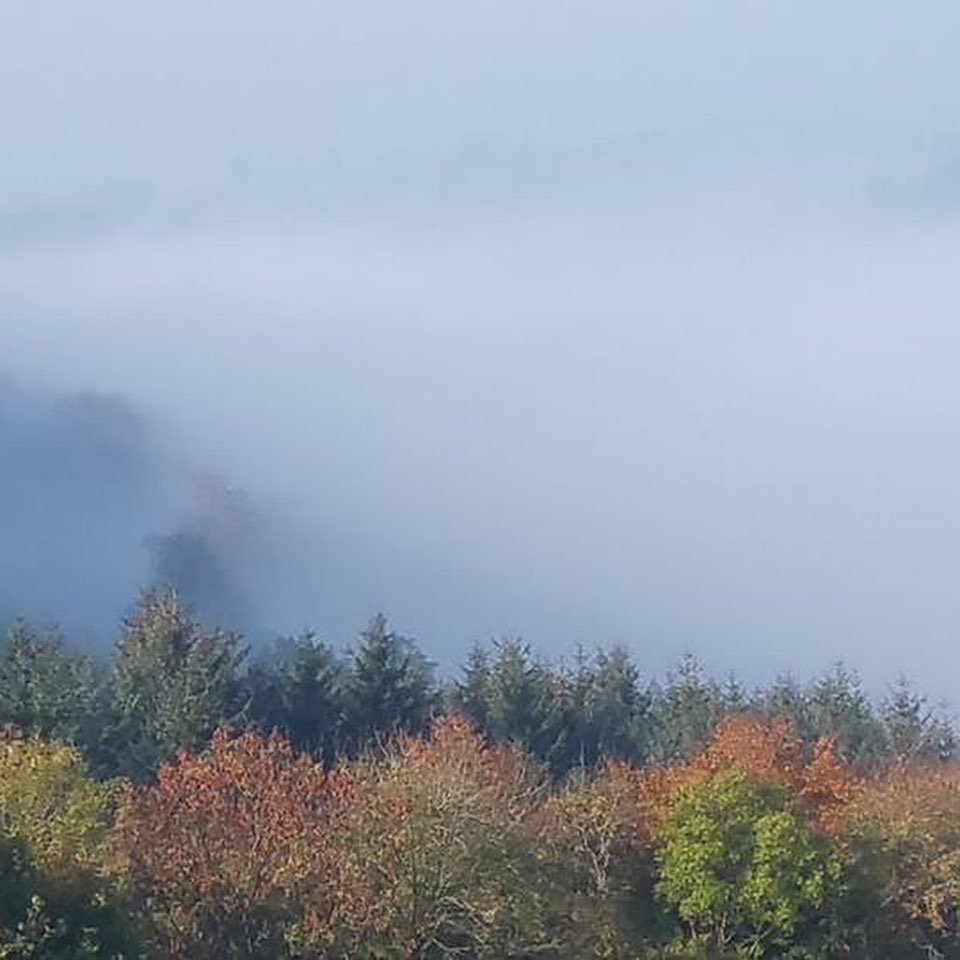 Stepping out of my back door.
Copyright © Tara Squibb 2022.