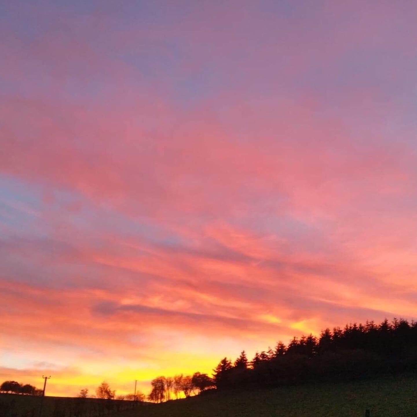 Stepping out of my back door.
Copyright © Tara Squibb 2022.