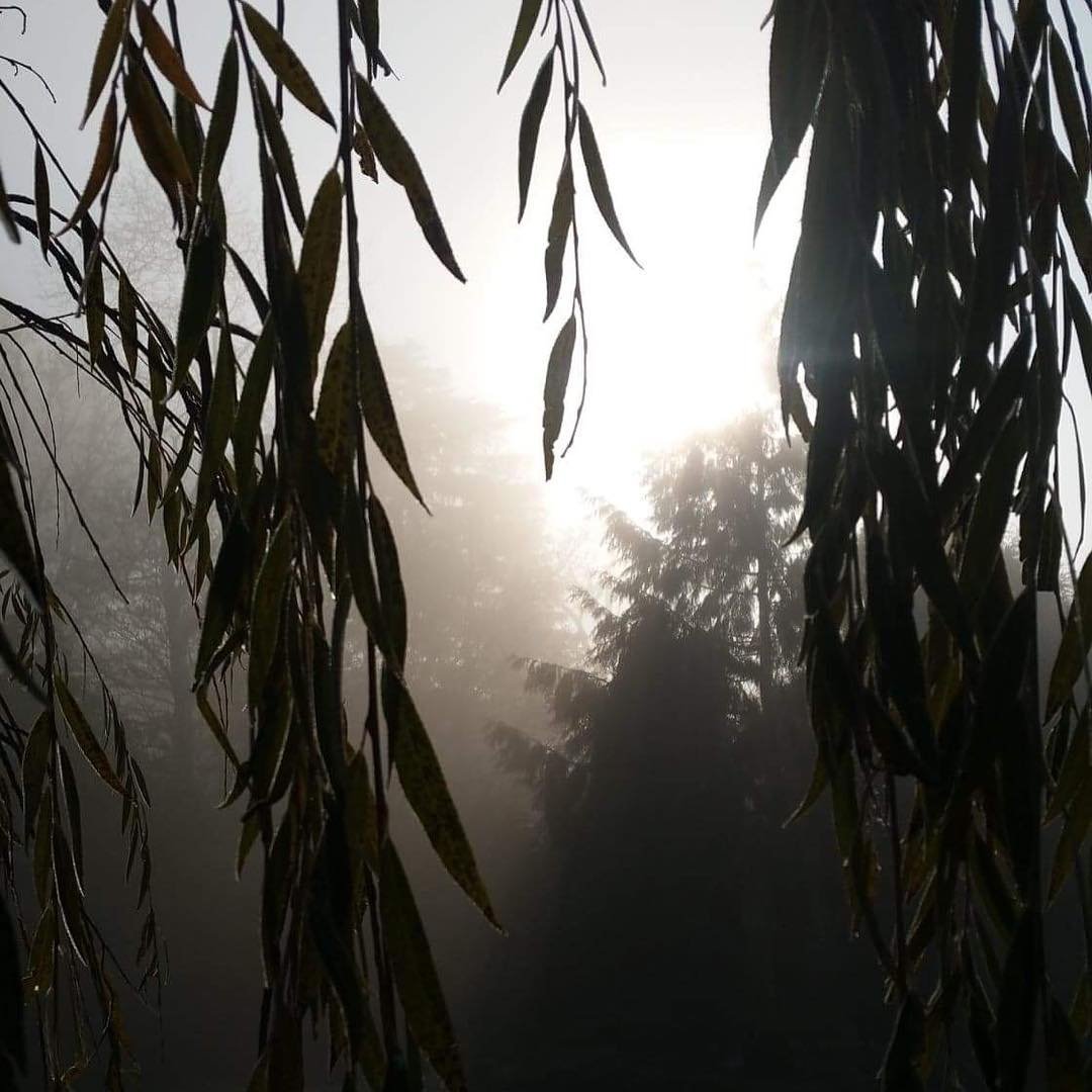 Stepping out of my back door.
Copyright © Tara Squibb 2022.