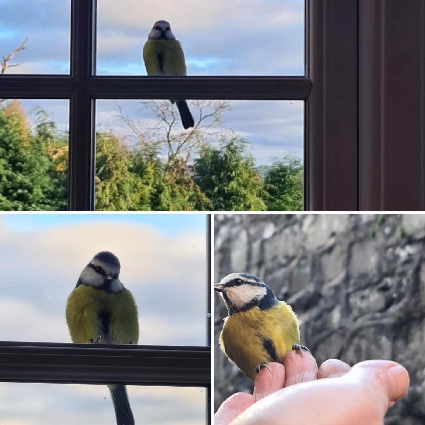 Stepping out of my back door.
Copyright © Tara Squibb 2022.