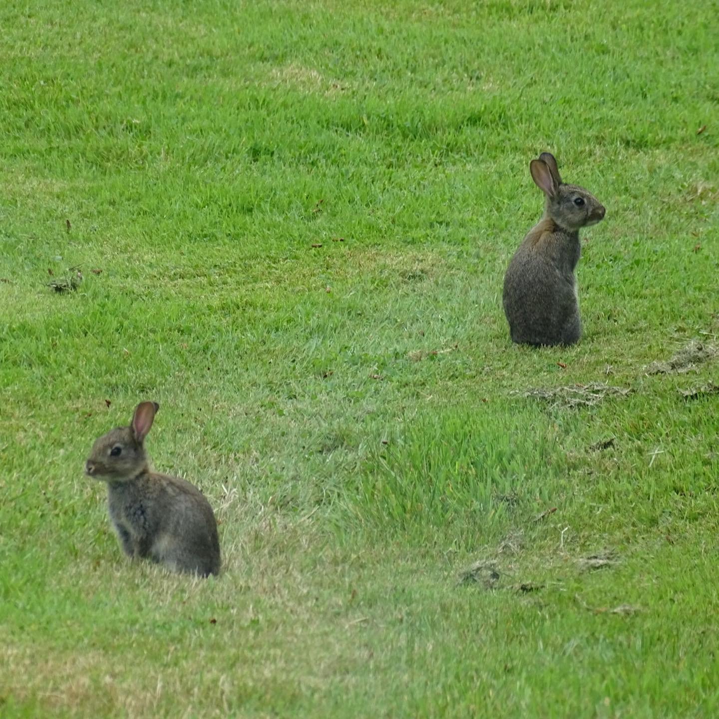 Stepping out of my back door.
Copyright © Tara Squibb 2022.