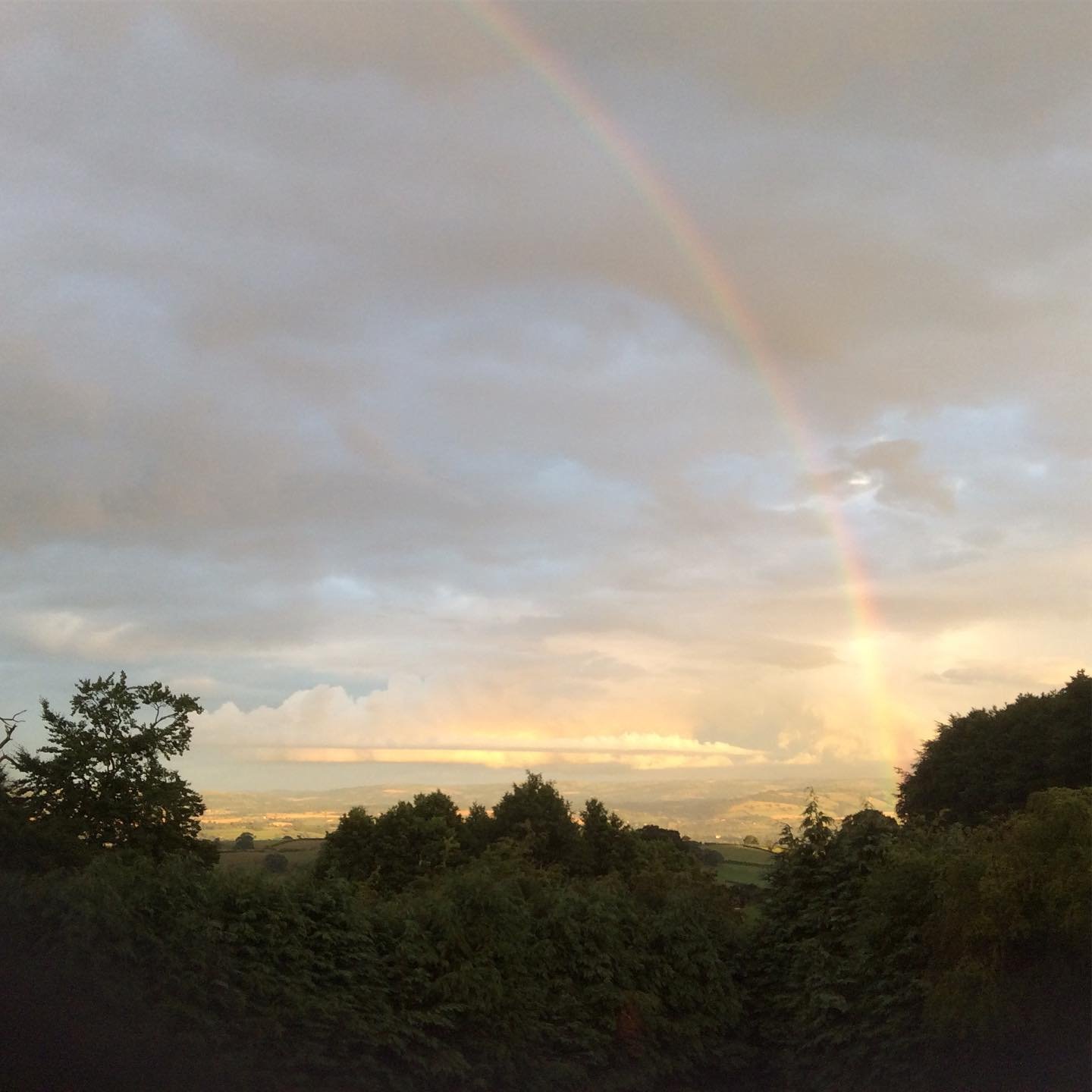 Stepping out of my back door.
Copyright © Tara Squibb 2022.