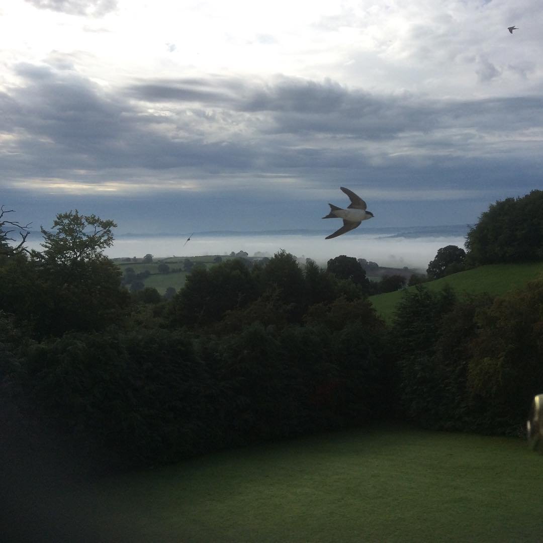 Stepping out of my back door.
Copyright © Tara Squibb 2022.